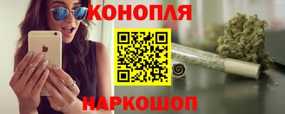 шишки Краснознаменск