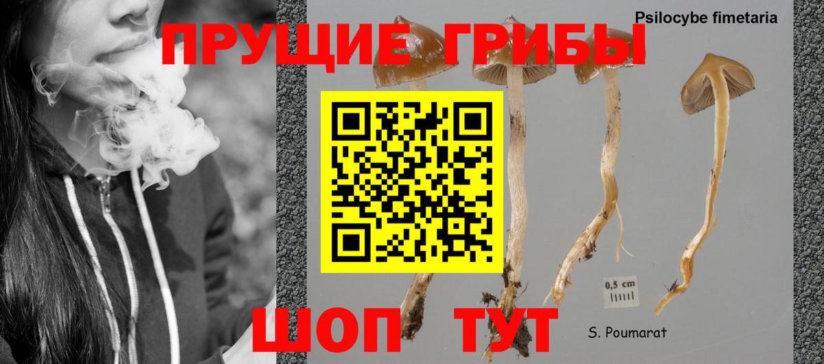 Псилоцибиновые грибы ЛСД Донской